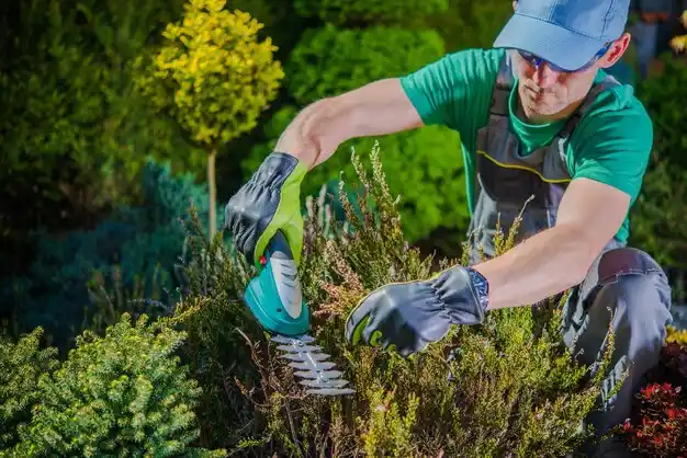 landscaping services Greenlawn